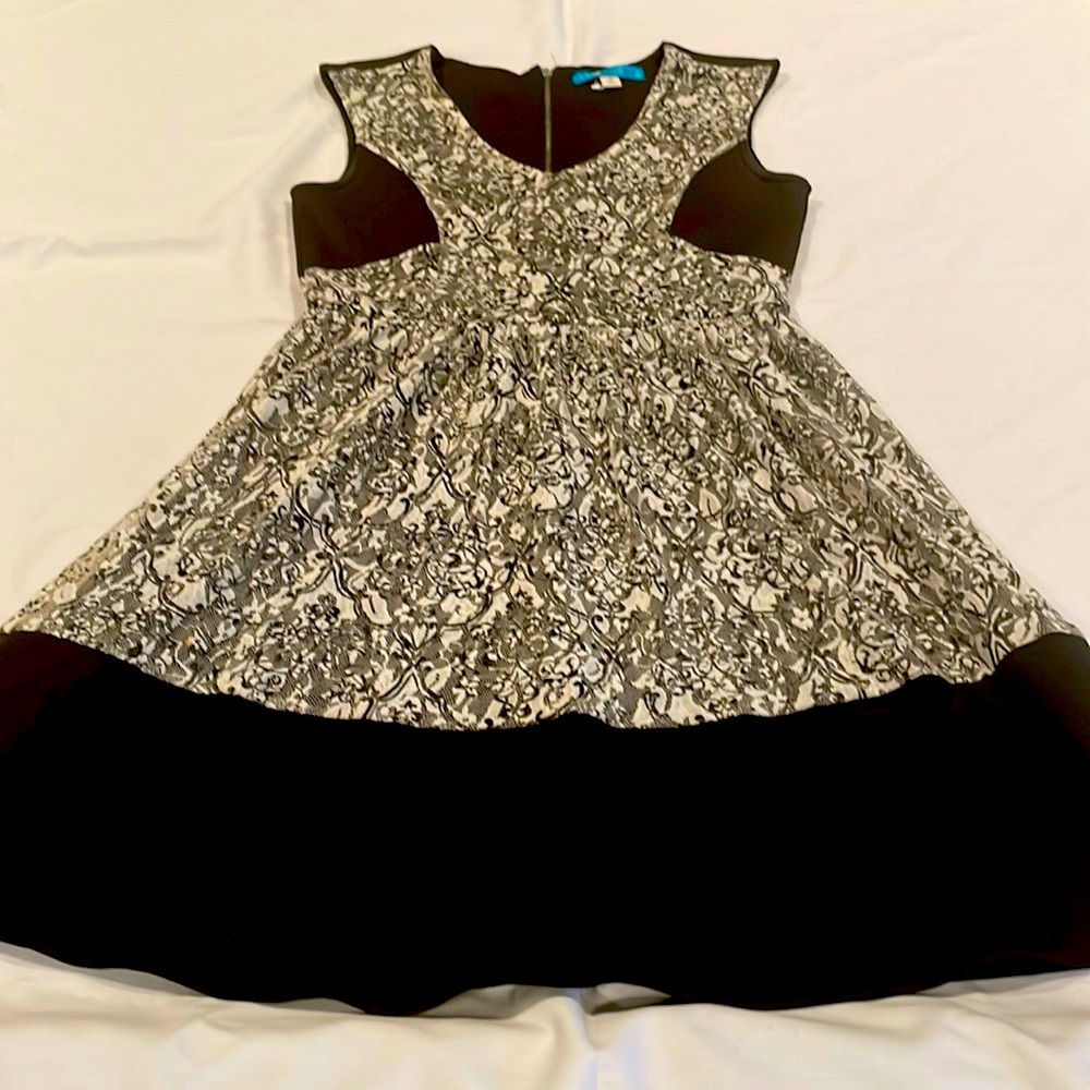 Francesca's Buttons Black lined dress with black and white lace Inset